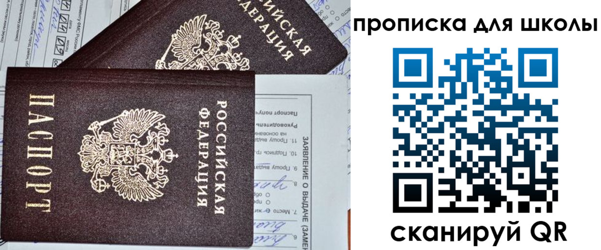прописка в Жукове